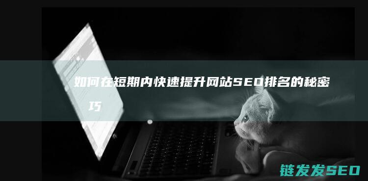如何在短期内快速提升网站SEO排名的秘密技巧 (如何在短期内赚50万)