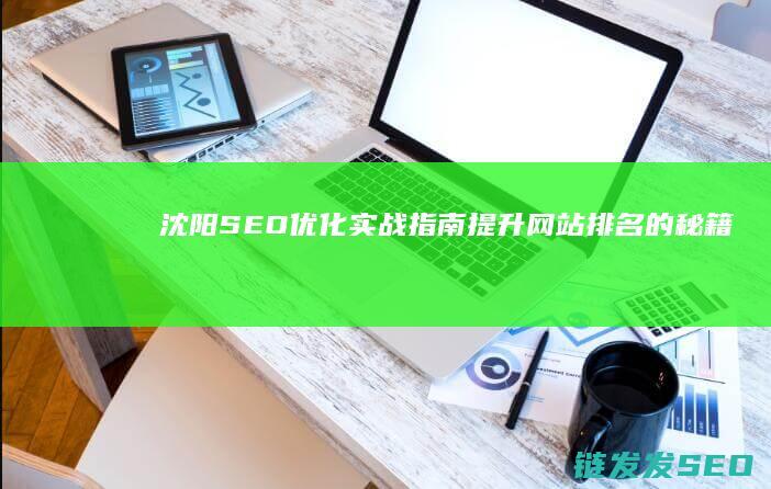 沈阳SEO优化实战指南：提升网站排名的秘籍 (沈阳SEO优化)