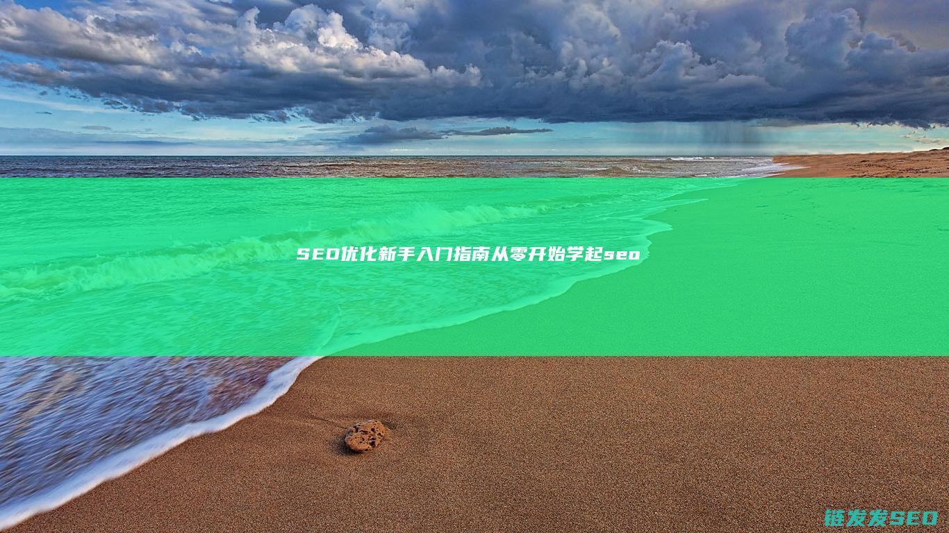 SEO优化新手入门指南：从零开始学起 (seo具体优化流程)