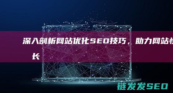 深入剖析网站优化SEO技巧，助力网站快速成长 (深入剖析网站有哪些)