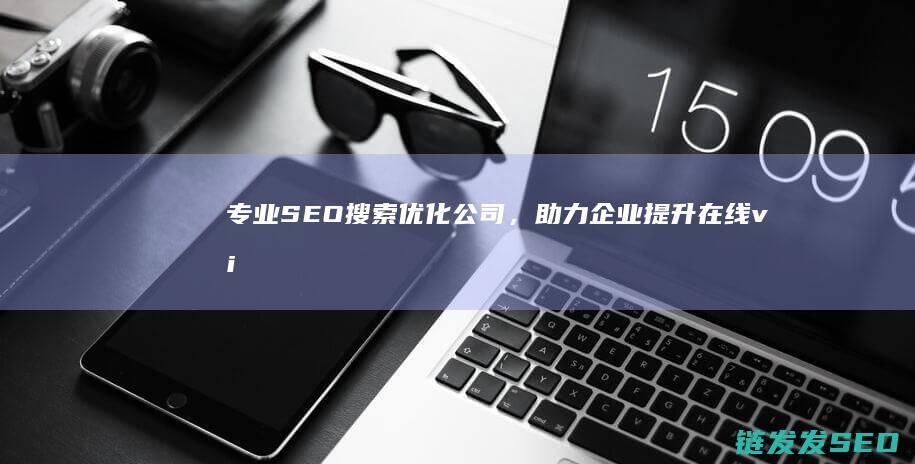 专业SEO搜索优化公司，助力企业提升在线 visibility (seo 搜索)