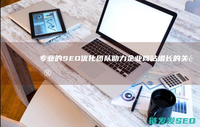 专业的SEO优化团队：助力企业网站增长的关键伙伴 (专业的seo司)