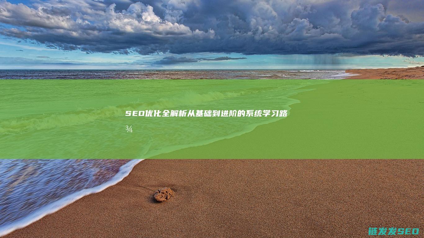 SEO优化全解析：从基础到进阶的系统学习路径 (seo平台优化)