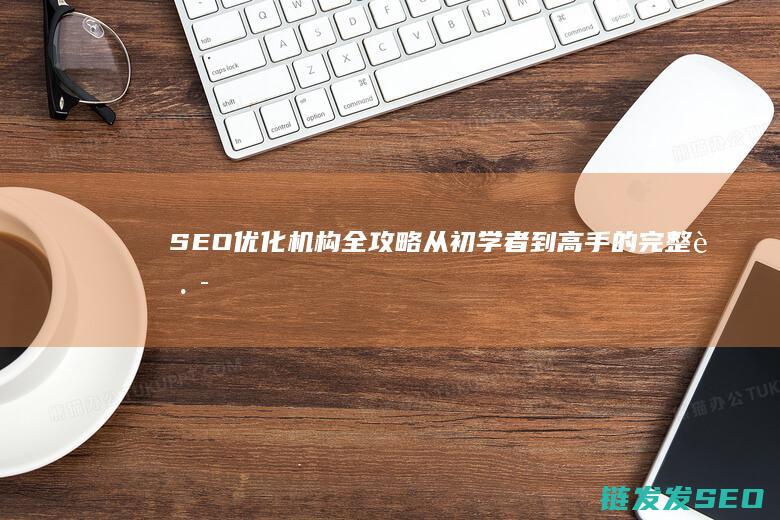 SEO优化机构全攻略：从初学者到高手的完整路径 (seo常用优化技巧)
