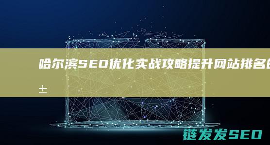 哈尔滨SEO优化实战攻略：提升网站排名的秘籍 (哈尔滨seo网络推广)