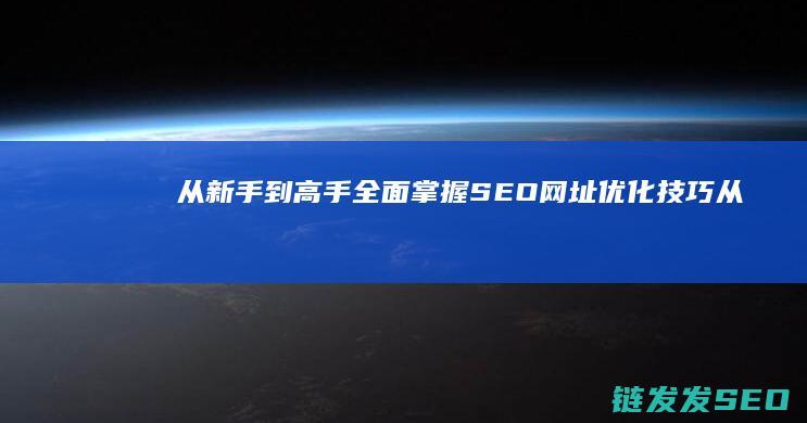 从新手到高手：全面掌握SEO网址优化技巧 (从新手到高手班主任该怎么办 读后感)