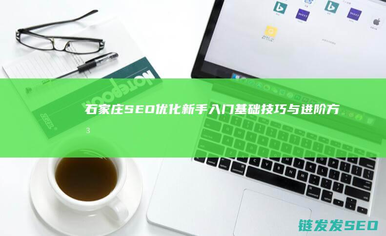 石家庄SEO优化新手入门：基础技巧与进阶方法 (石家庄seo推广优化)
