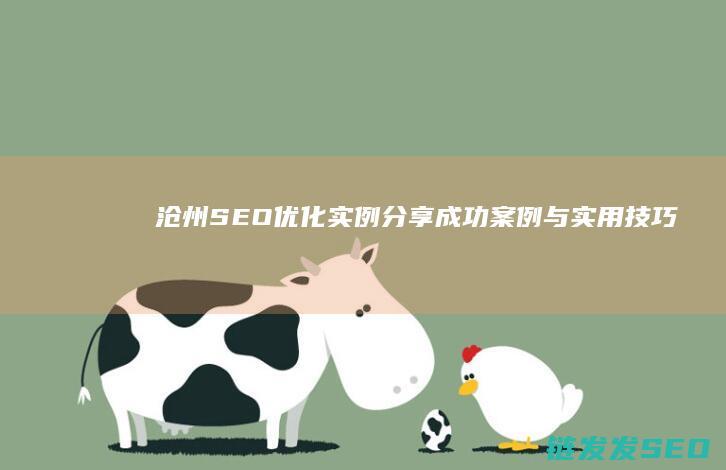 沧州SEO优化实例分享：成功案例与实用技巧 (沧州SEO优化)