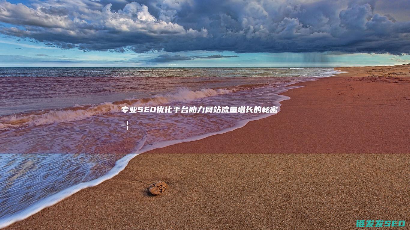 专业SEO优化平台：助力网站流量增长的秘密武器 (seo专业术语有哪些)
