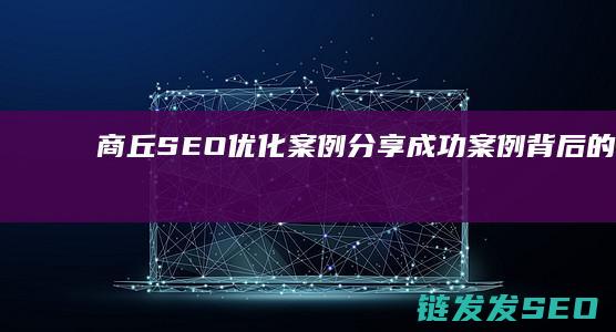 商丘SEO优化案例分享：成功案例背后的策略 (商丘seo教程)