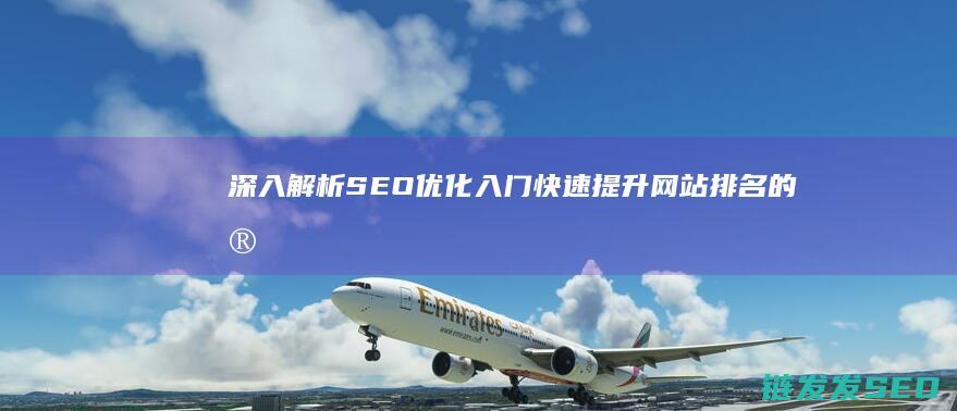 深入解析SEO优化入门：快速提升网站排名的实用技巧 (深入解析sas电子版)