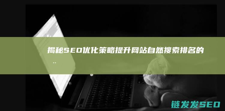 揭秘SEO优化策略：提升网站自然搜索排名的全面指南 (seo you)