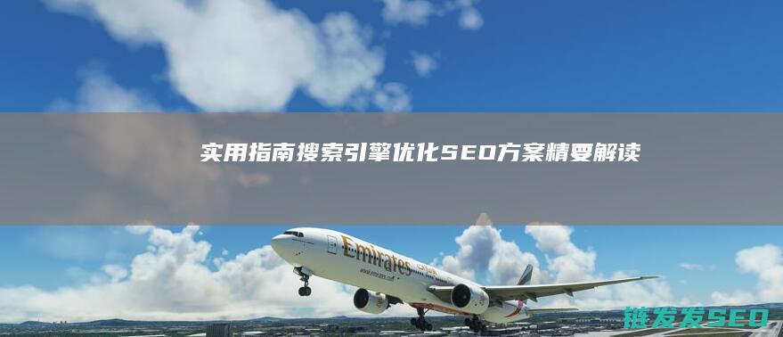 实用指南：搜索引擎优化(SEO)方案精要解读 (搜索指南)