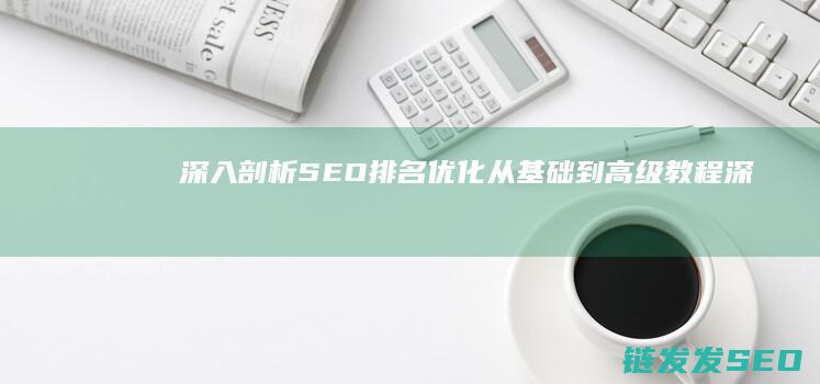 深入剖析SEO排名教程深