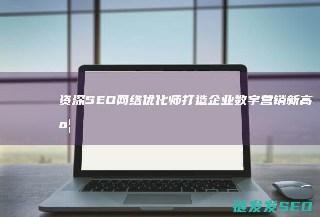 资深SEO网络优化师：打造企业数字营销新高度 (seo资深工程师)