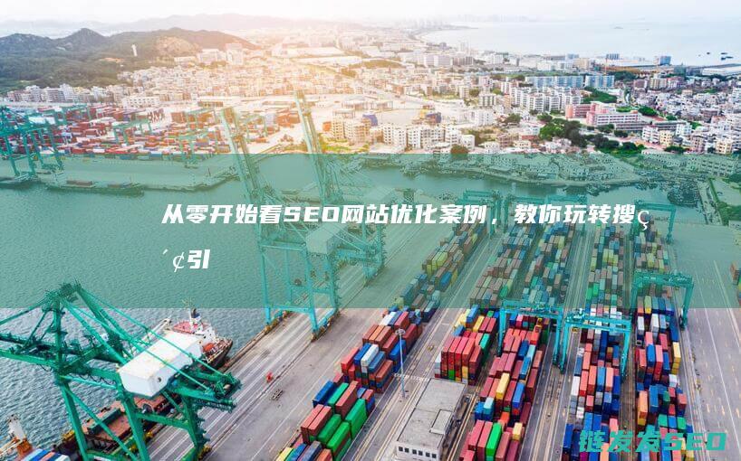 从零开始看SEO网站优化案例，教你玩转搜索引擎 (从零开始看视频学乐理)