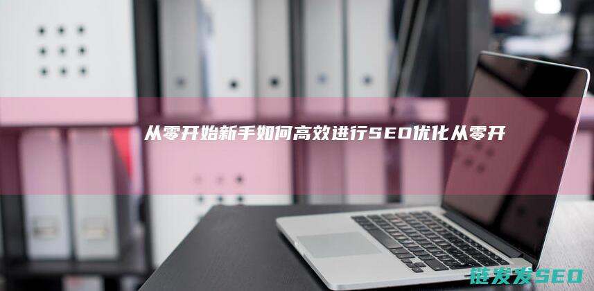 从零开始：新手如何高效进行SEO优化 (从零开始新编集版有什么区别)