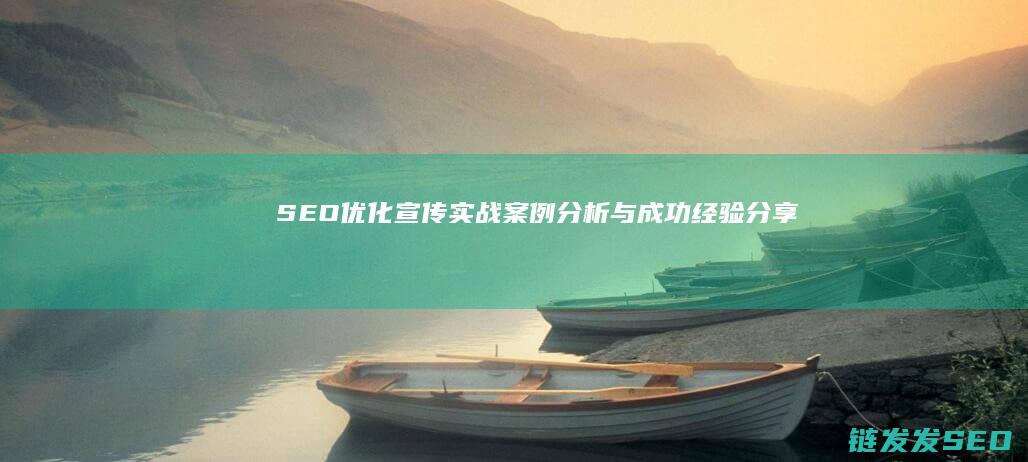 SEO优化宣传实战：案例分析与成功经验分享 (seo的优化内容)