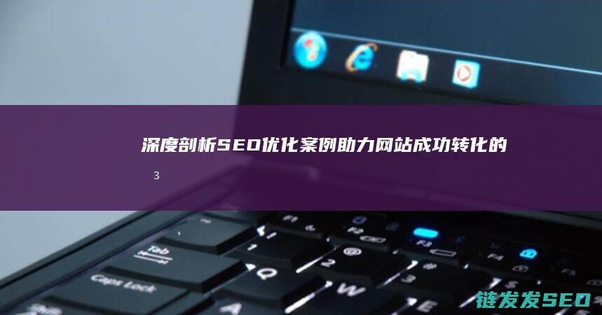 深度剖析SEO优化案例：助力网站成功转化的关键步骤 (深度剖析是什么意思)