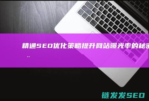 精通SEO优化策略：提升网站曝光率的秘密武器 (seo的精髓是什么)