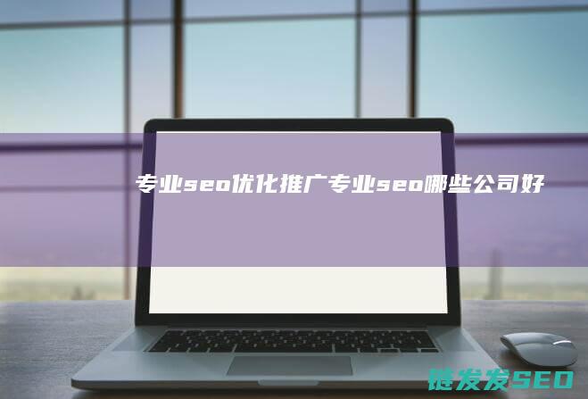 专业seo优化推广 (专业seo哪些公司好)