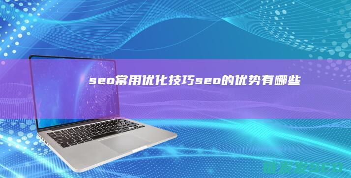 seo常用优化技巧 (seo的优势有哪些)
