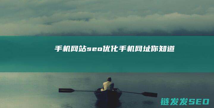 手机网站seo优化 (手机网址你知道)