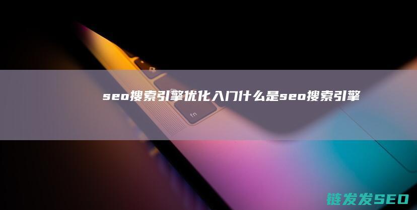 seo搜索引擎优化入门 (什么是seo搜索引擎)