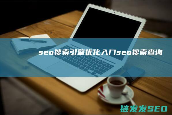 seo搜索引擎入门seo搜索查询