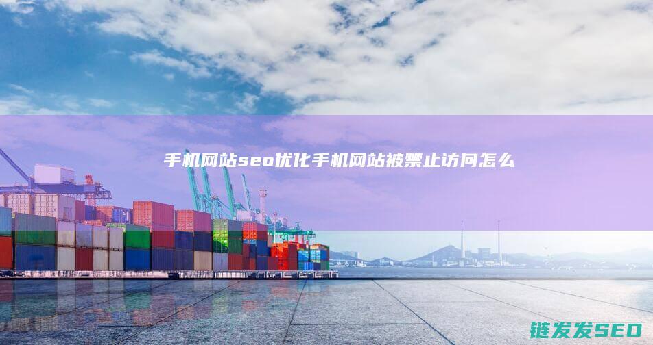 手机网站seo优化 (手机网站被禁止访问怎么打开网页)