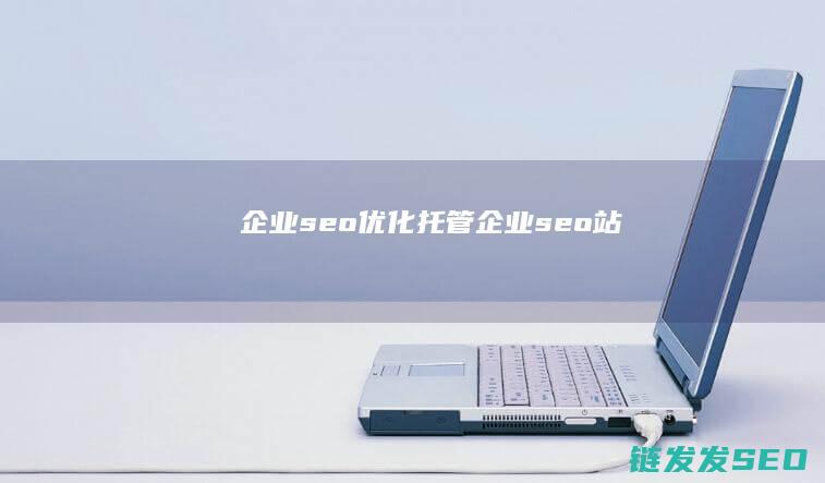 企业seo优化托管 (企业seo站)