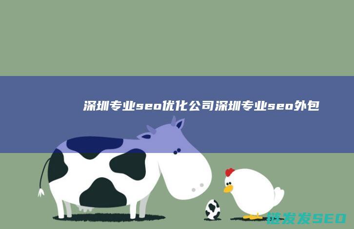 深圳专业seo优化公司 (深圳专业seo外包)