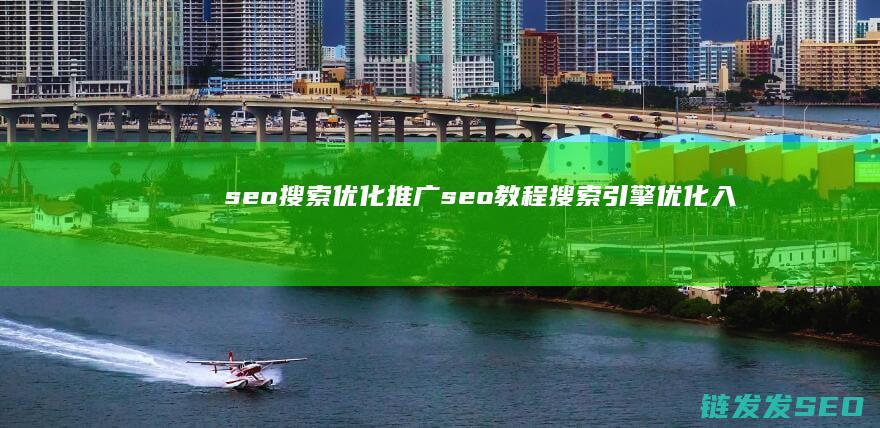 seo搜索优化推广 (seo教程搜索引擎优化入门与进阶)