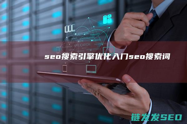 seo搜索引擎优化入门 (seo搜索词)