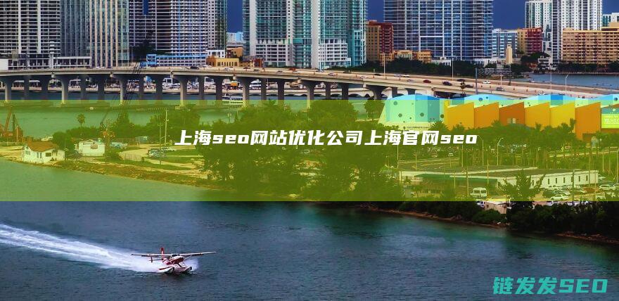 上海seo网站优化公司 (上海官网seo)