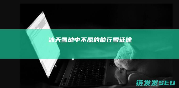 冰天雪地中不屈的前行-雪征途