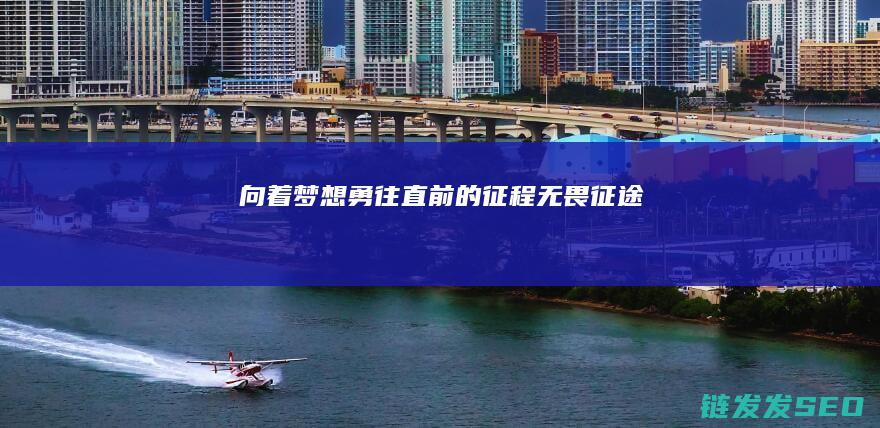 向着梦想勇往直前的征程-无畏征途