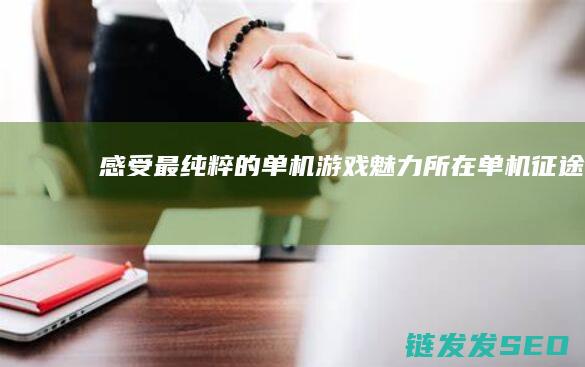 感受最纯粹的单机游戏魅力所在-单机征途