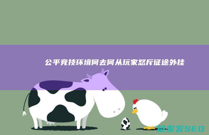公平竞技环境何去何从-玩家怒斥征途外挂