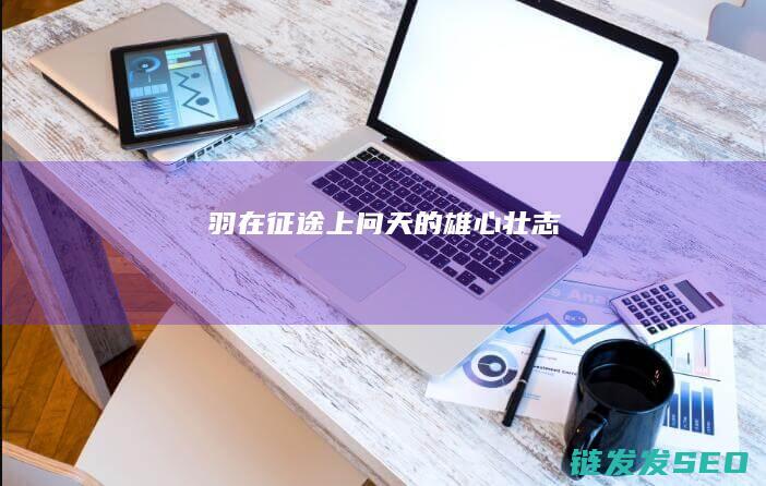 羽-在征途上问天的雄心壮志