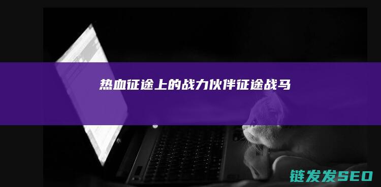 热血征途上的战力伙伴-征途战马