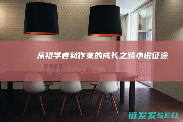 从初学者到作家的成长之路-小说征途
