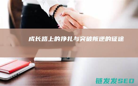 成长路上的挣扎与突破-叛逆的征途