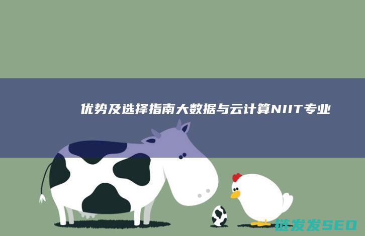 优势及选择指南-大数据与云计算NIIT专业-区别 (优势及选择指标怎么写)