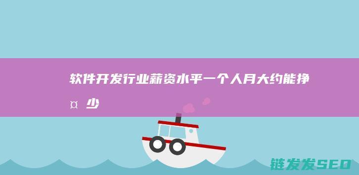 软件开发行业薪资水平-一个人月大约能挣多少 (软件开发行业利润率)