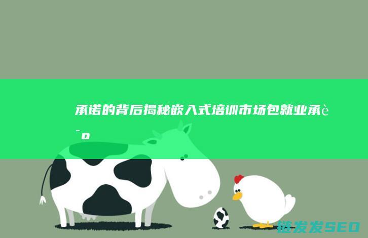 承诺的背后-揭秘嵌入式培训市场-包就业 (承诺的背后有个情绪叫一时兴起什么意思)
