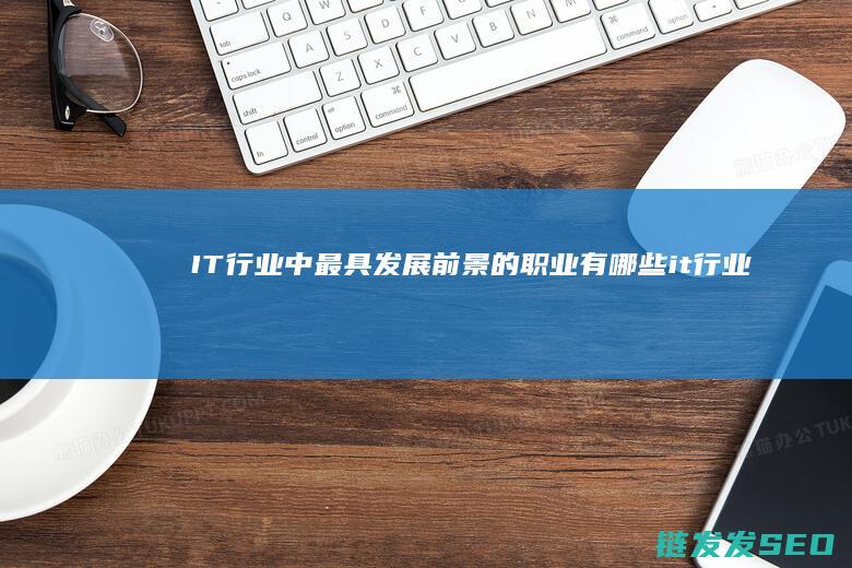 IT行业中最具发展前景的职业有哪些 (it行业最牛的人)