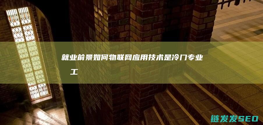 就业前景如何-物联网应用技术是冷门专业吗 (工商类专业就业前景如何)
