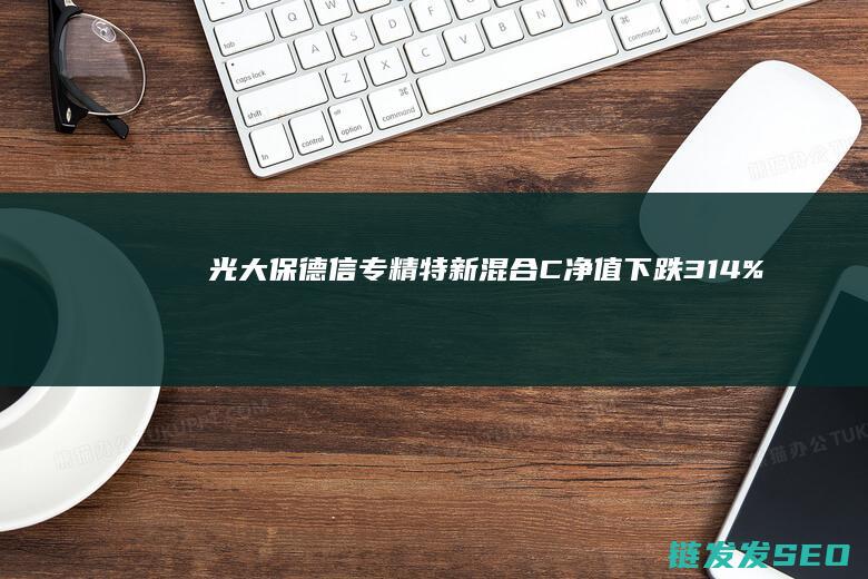 光大保德信专精特新混合C净值下跌314%