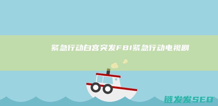 紧急行动白宫突发FBI紧急行动电视剧